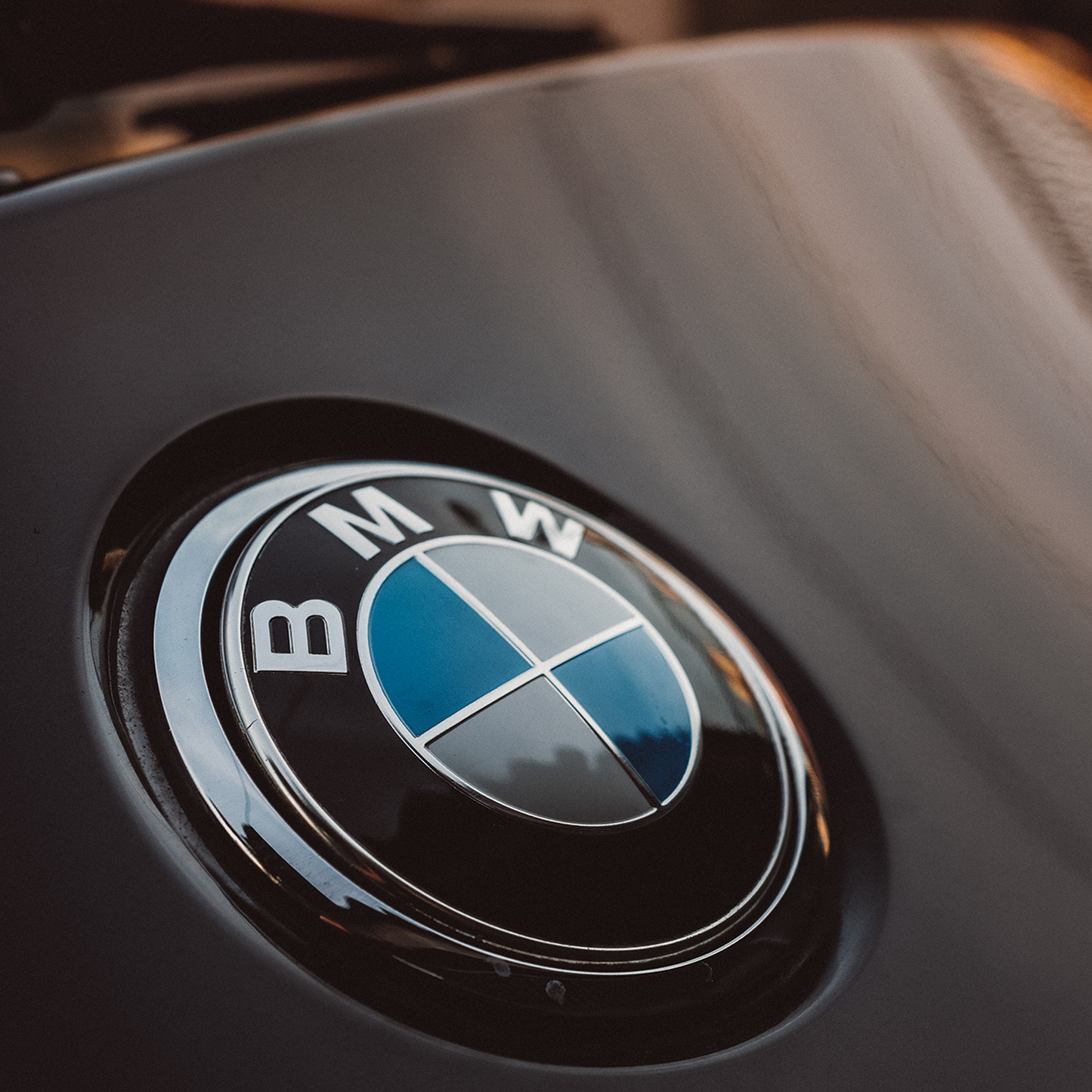 BMW Rear logo Blue &amp; White 70mm 
