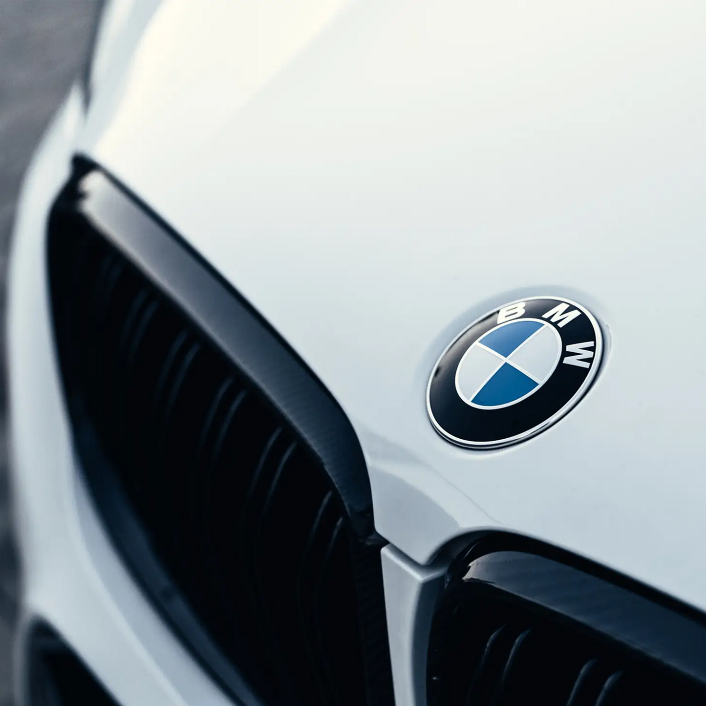 BMW Logo Blue &amp; White 82mm